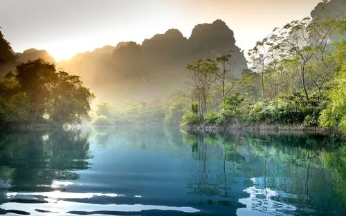高性能高效可靠性